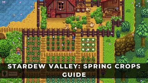 best seeds to buy in spring stardew valley|More.